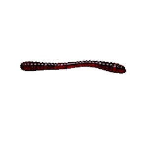 Мягкая приманка Wonder Killer Bait Worm-A 11.0см, 6шт Мягкая приманка Wonder Killer Bait Worm-A 11.0см, 6шт