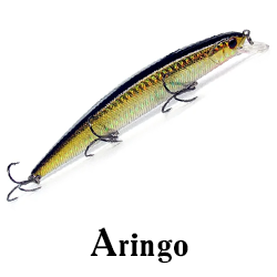 Aringo