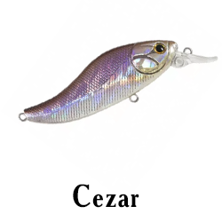 Cezar