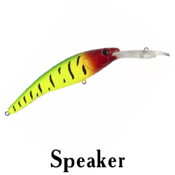 Speaker