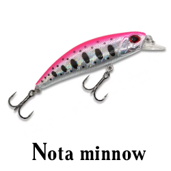 Nota minnow