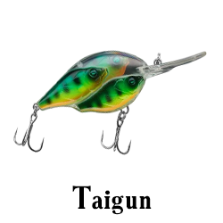 Taigun