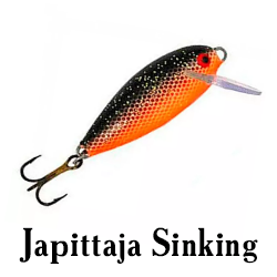 Japittaja Sinking