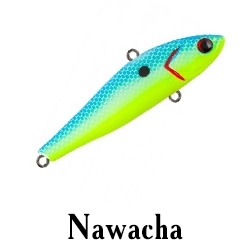 Nawacha